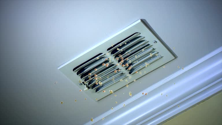 Best Home Air Vent Cleaning  in Bath, MI