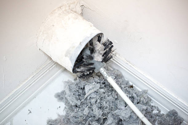 Best Affordable Air Duct Cleaning  in Bath, MI