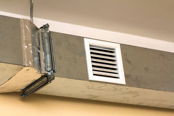 Best Air Duct Sanitizing Services  in Bath, MI
